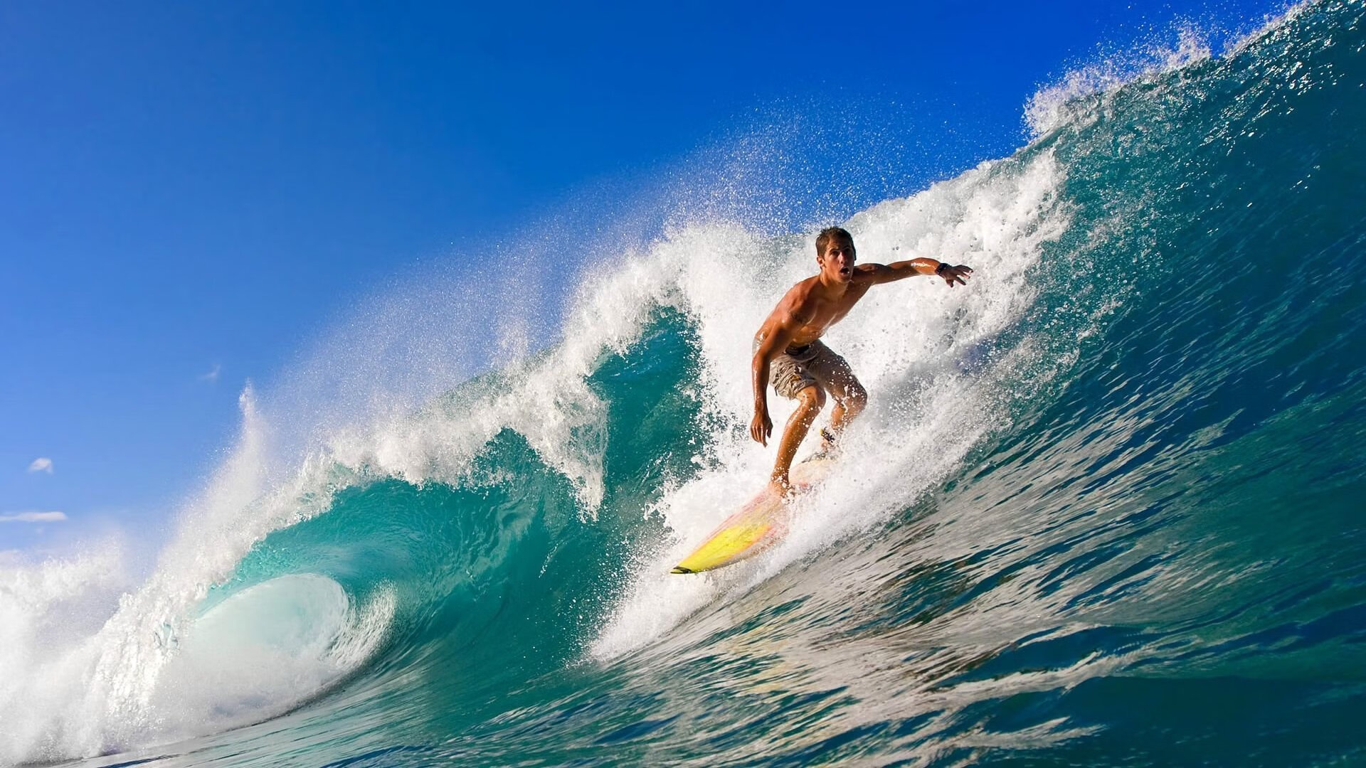 阿坎吉一剑封喉！澳大利亚绝境逆转南非，争议判罚下的冠军之路
